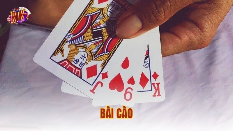 Bài Cào